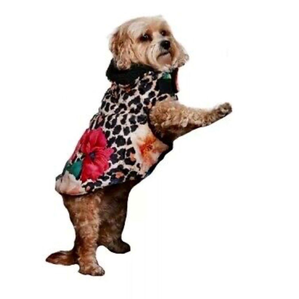 Johnny Was Sandra dog coat